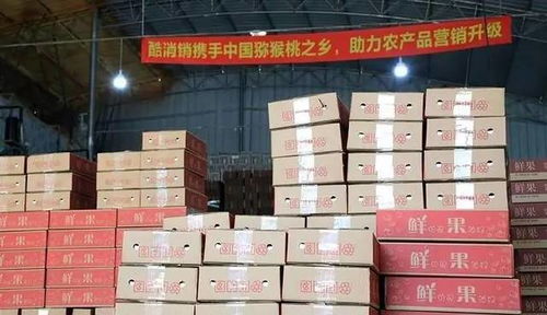 酷消銷再獲信任，金融中介服務將助力天水花牛蘋果營銷新篇章